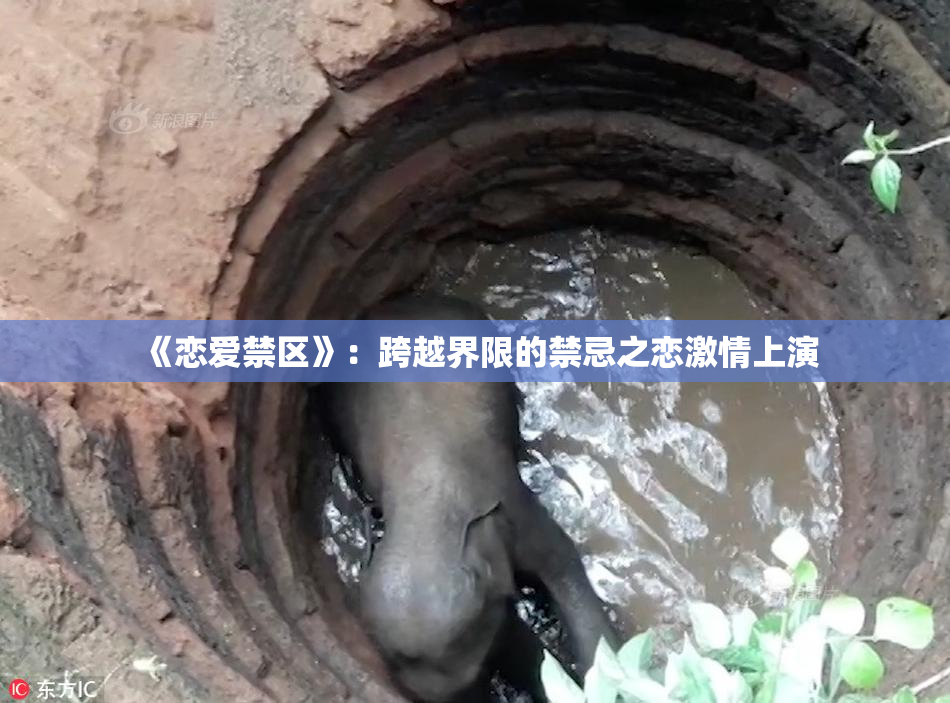 《恋爱禁区》：跨越界限的禁忌之恋激情上演