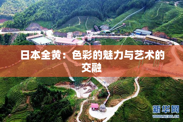 日本全黄：色彩的魅力与艺术的交融