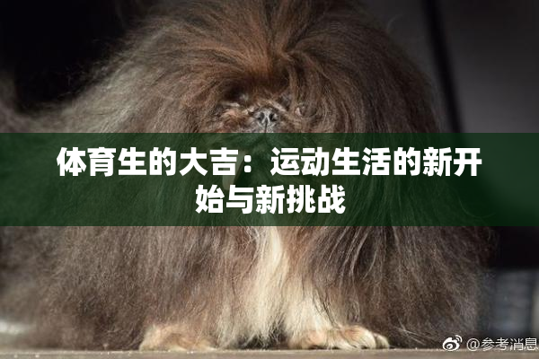 体育生的大吉：运动生活的新开始与新挑战