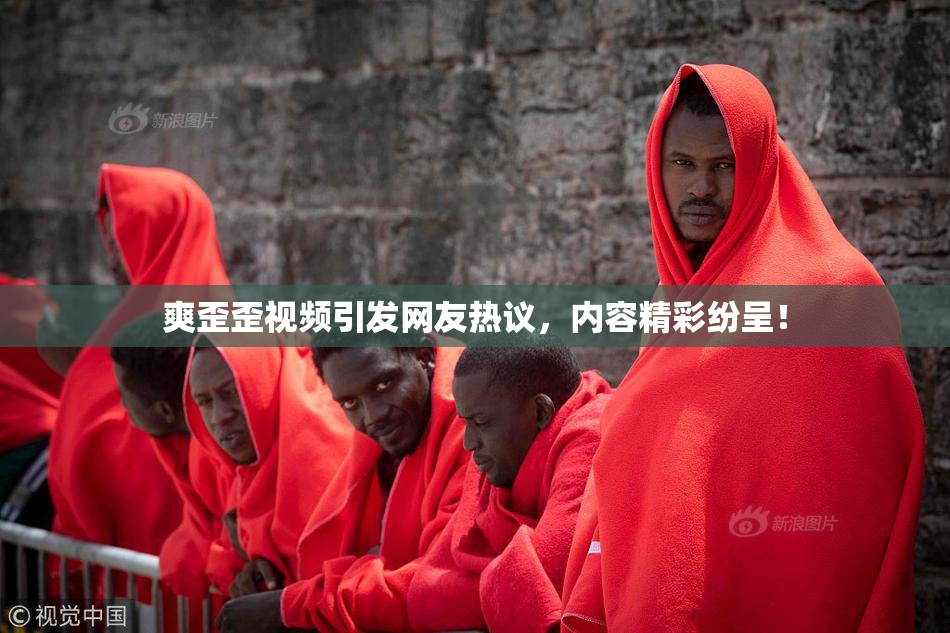 爽歪歪视频引发网友热议，内容精彩纷呈！