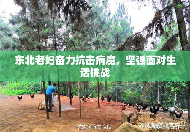东北老妇奋力抗击病魔，坚强面对生活挑战