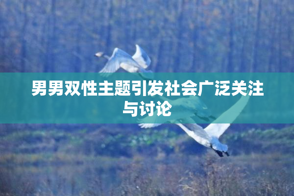 男男双性主题引发社会广泛关注与讨论