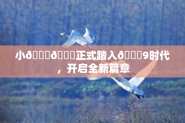 小🐔🐔正式踏入🍑9时代，开启全新篇章