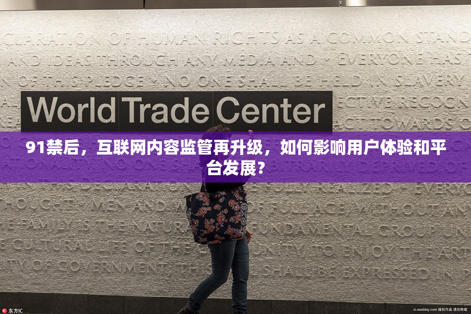 91禁后，互联网内容监管再升级，如何影响用户体验和平台发展？