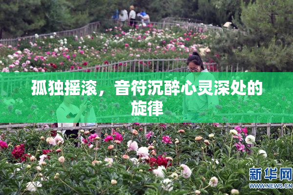 孤独摇滚，音符沉醉心灵深处的旋律