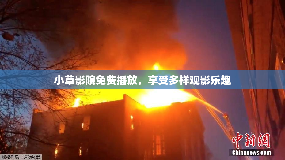 小草影院免费播放，享受多样观影乐趣
