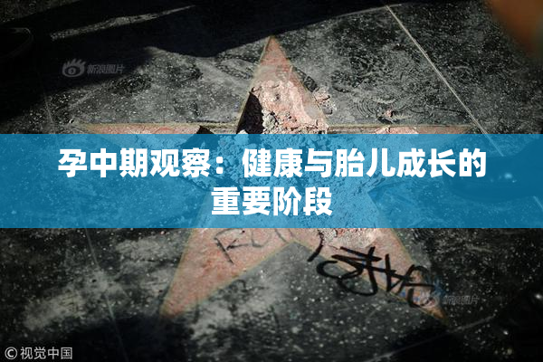 孕中期观察：健康与胎儿成长的重要阶段