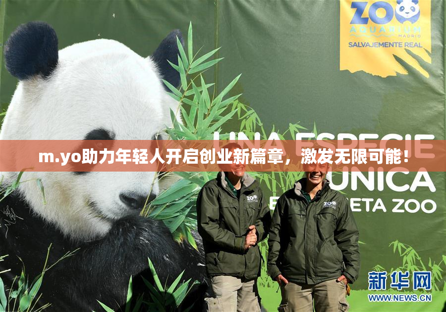 m.yo助力年轻人开启创业新篇章，激发无限可能！