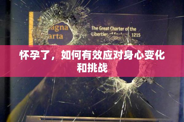 怀孕了，如何有效应对身心变化和挑战