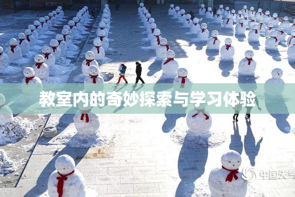 教室内的奇妙探索与学习体验