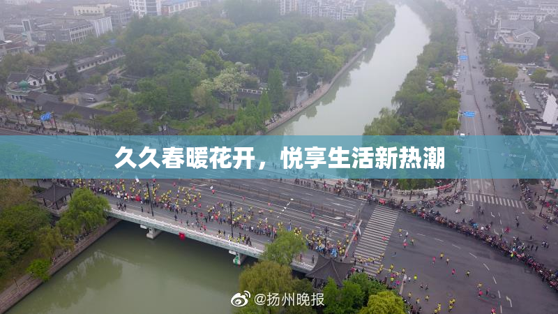 久久春暖花开，悦享生活新热潮