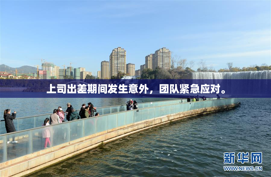 上司出差期间发生意外，团队紧急应对。