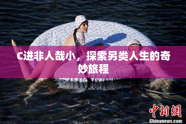 C进非人哉小，探索另类人生的奇妙旅程