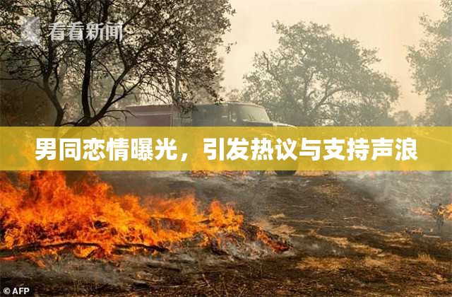 男同恋情曝光，引发热议与支持声浪