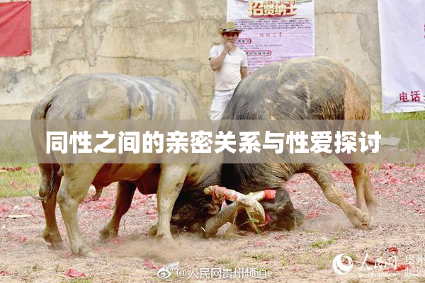 同性之间的亲密关系与性爱探讨
