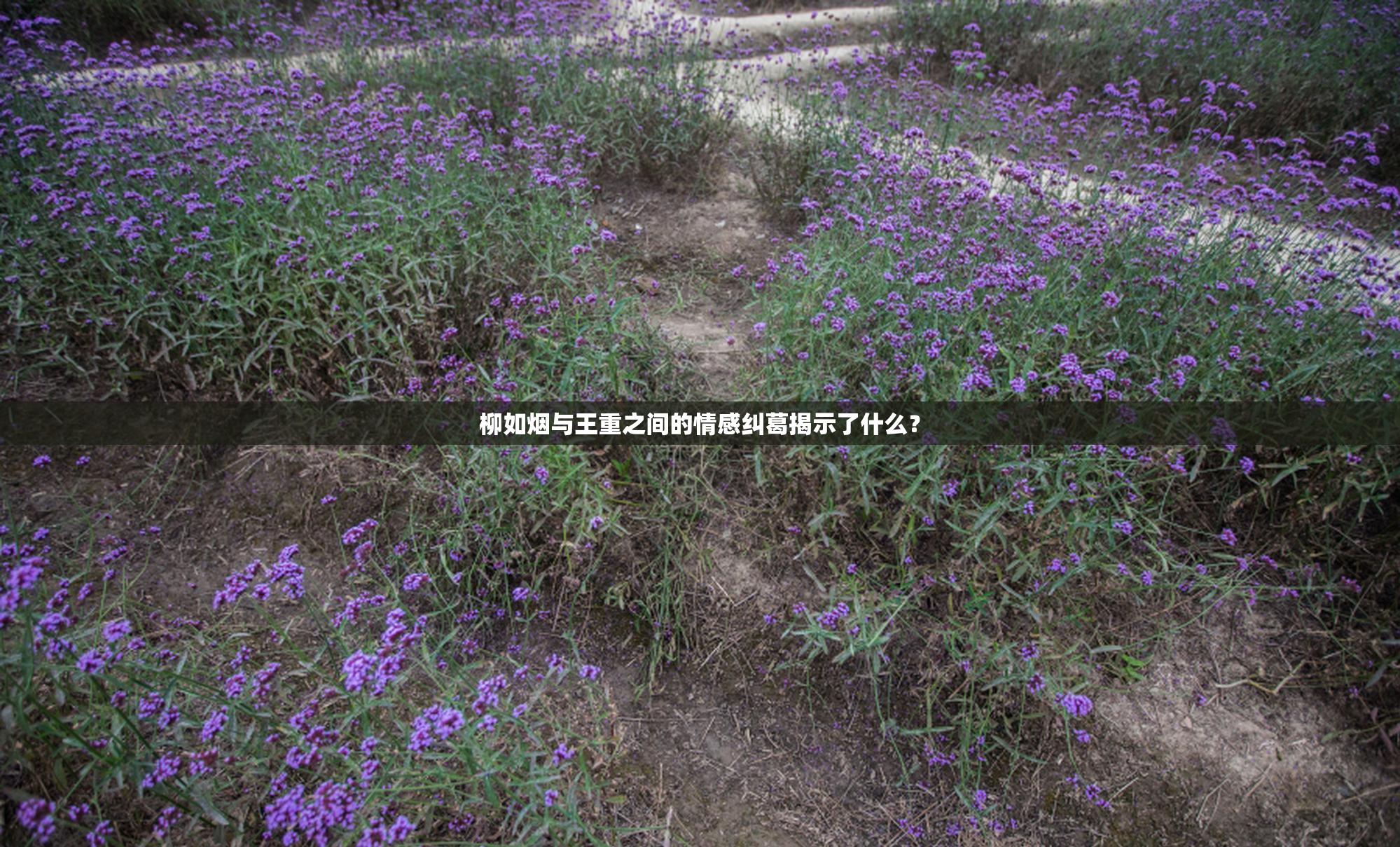 柳如烟与王重之间的情感纠葛揭示了什么？