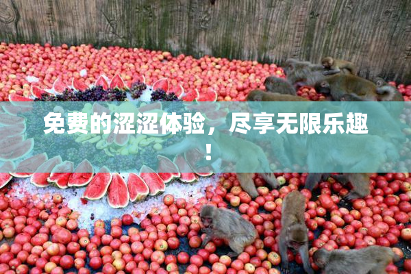免费的涩涩体验，尽享无限乐趣！