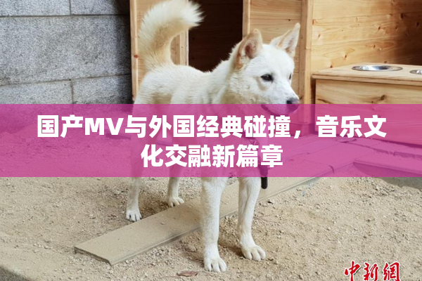 国产MV与外国经典碰撞，音乐文化交融新篇章