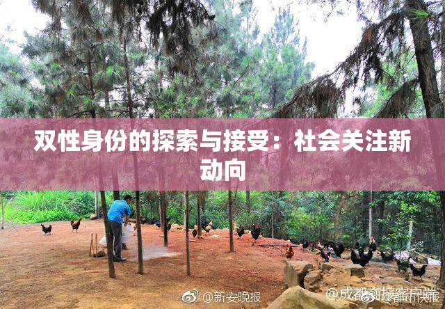 双性身份的探索与接受：社会关注新动向