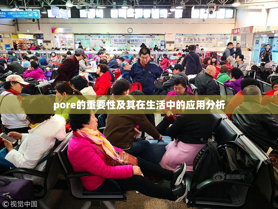 pore的重要性及其在生活中的应用分析