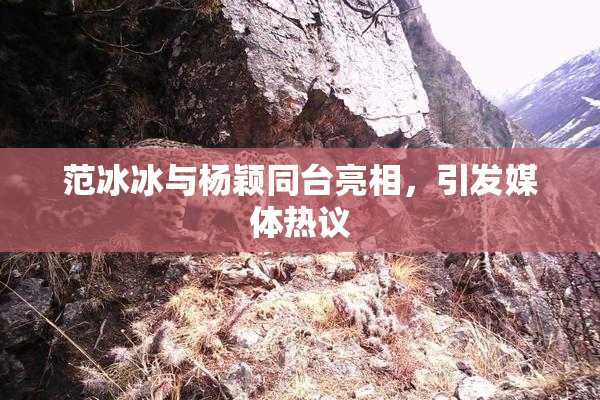 范冰冰与杨颖同台亮相，引发媒体热议
