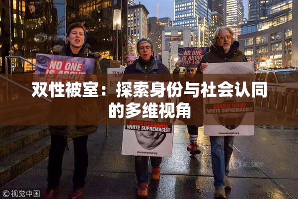 双性被室：探索身份与社会认同的多维视角