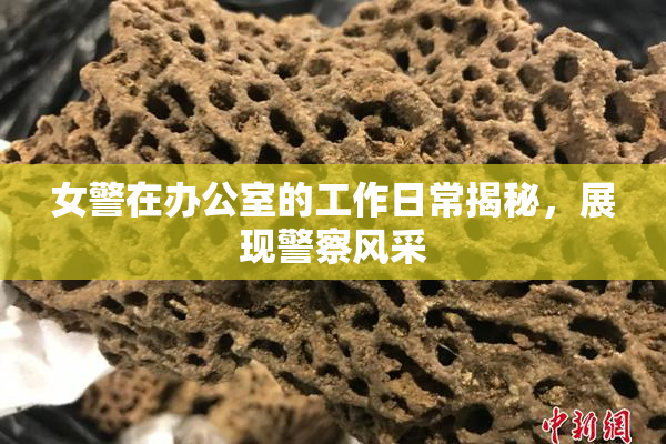 女警在办公室的工作日常揭秘，展现警察风采