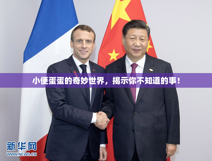 小便蛋蛋的奇妙世界，揭示你不知道的事！