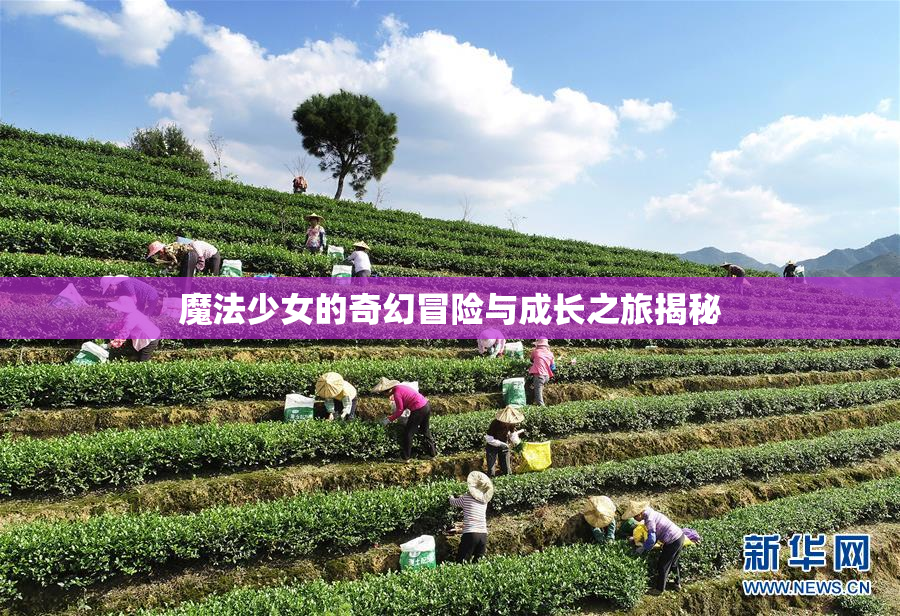 魔法少女的奇幻冒险与成长之旅揭秘