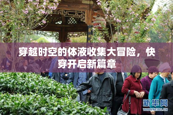穿越时空的体液收集大冒险，快穿开启新篇章