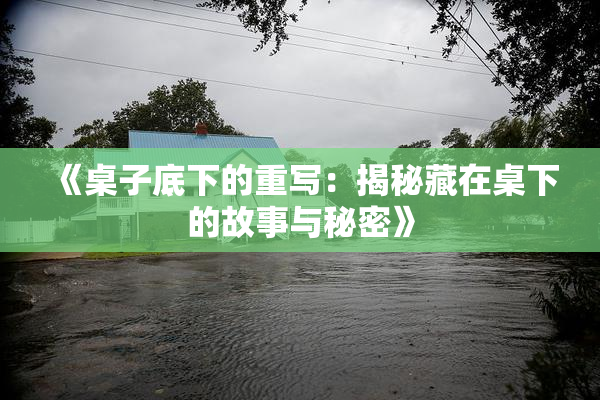 《桌子底下的重写：揭秘藏在桌下的故事与秘密》