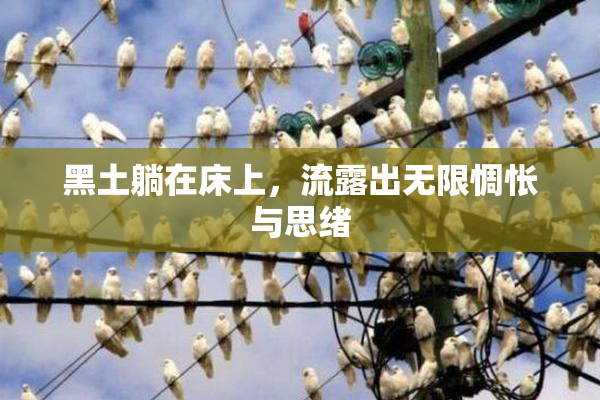 黑土躺在床上，流露出无限惆怅与思绪