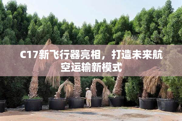 C17新飞行器亮相，打造未来航空运输新模式