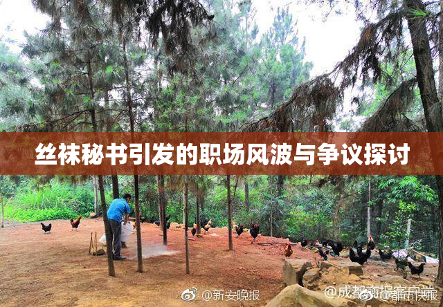 丝袜秘书引发的职场风波与争议探讨
