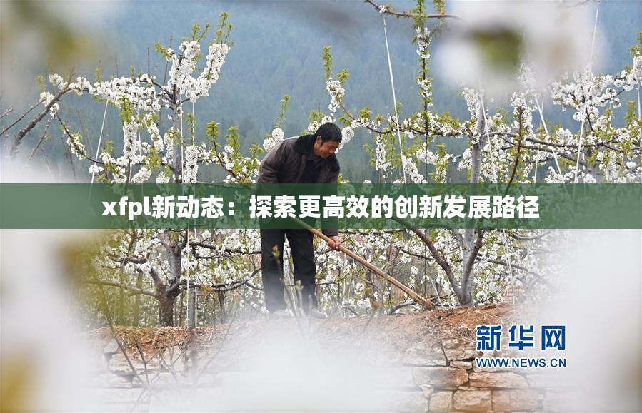 xfpl新动态：探索更高效的创新发展路径