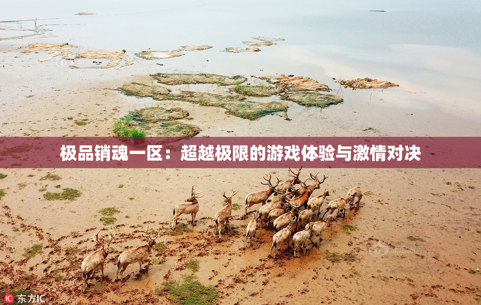 极品销魂一区：超越极限的游戏体验与激情对决