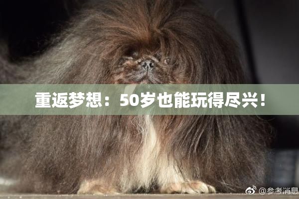 重返梦想：50岁也能玩得尽兴！