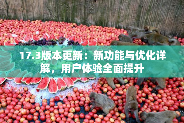 17.3版本更新：新功能与优化详解，用户体验全面提升