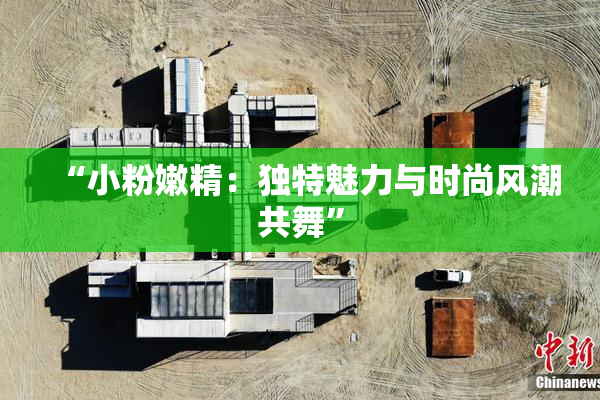 “小粉嫩精：独特魅力与时尚风潮共舞”