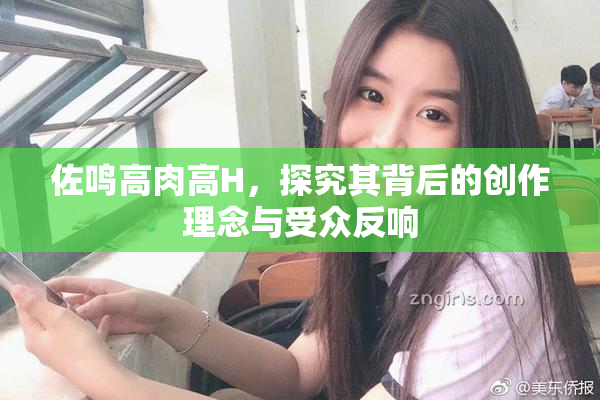佐鸣高肉高H，探究其背后的创作理念与受众反响