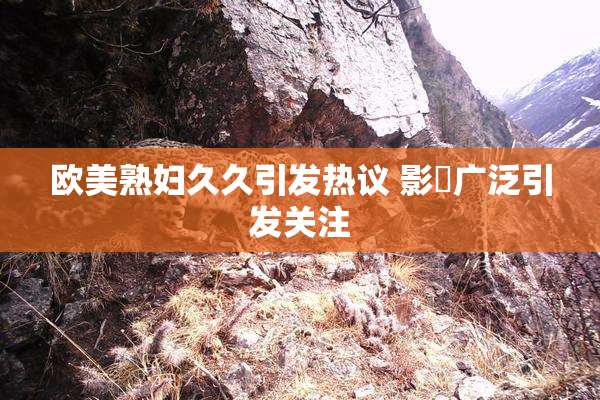 欧美熟妇久久引发热议 影響广泛引发关注
