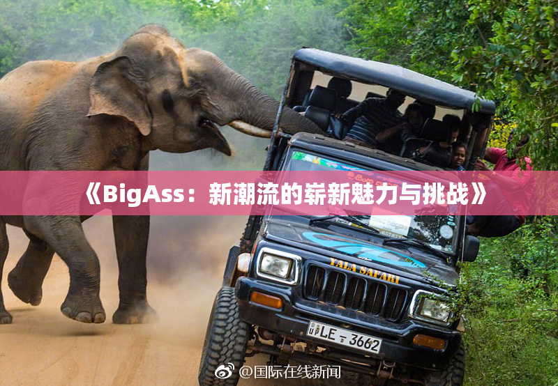 《BigAss：新潮流的崭新魅力与挑战》