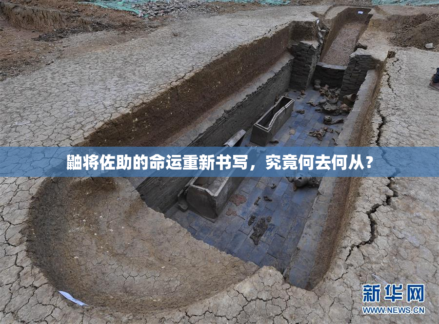 鼬将佐助的命运重新书写，究竟何去何从？