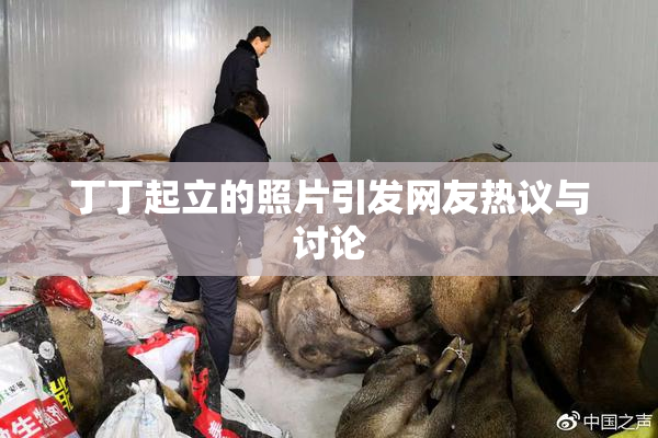 丁丁起立的照片引发网友热议与讨论