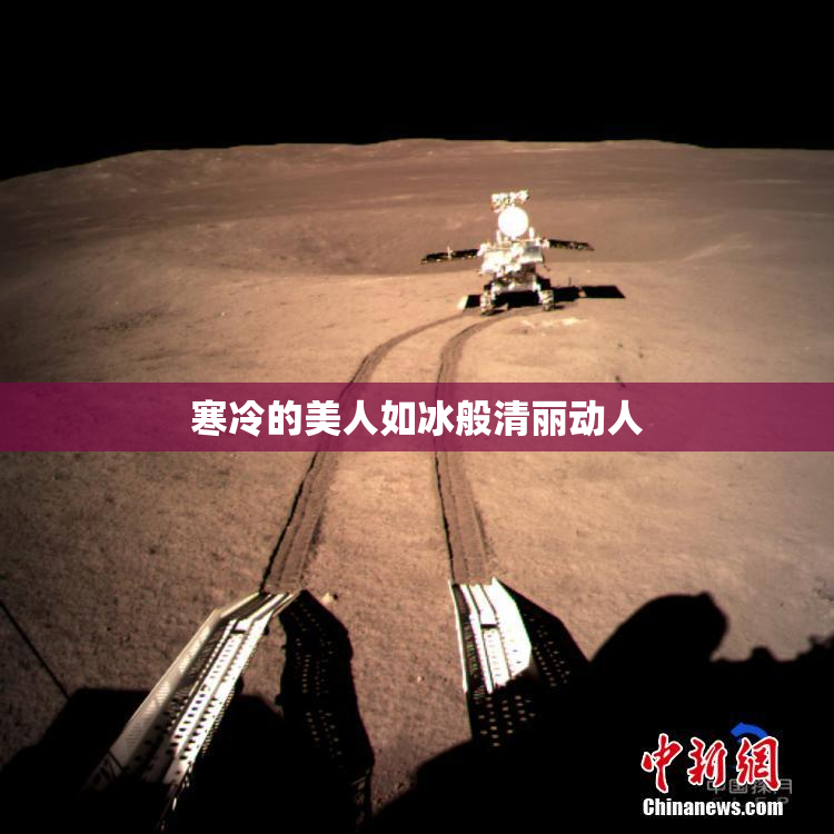 寒冷的美人如冰般清丽动人