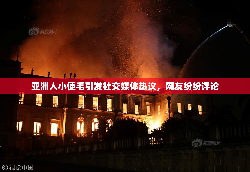 亚洲人小便毛引发社交媒体热议，网友纷纷评论