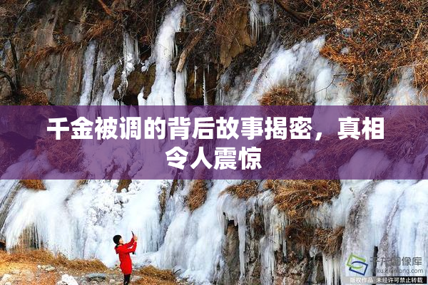 千金被调的背后故事揭密，真相令人震惊