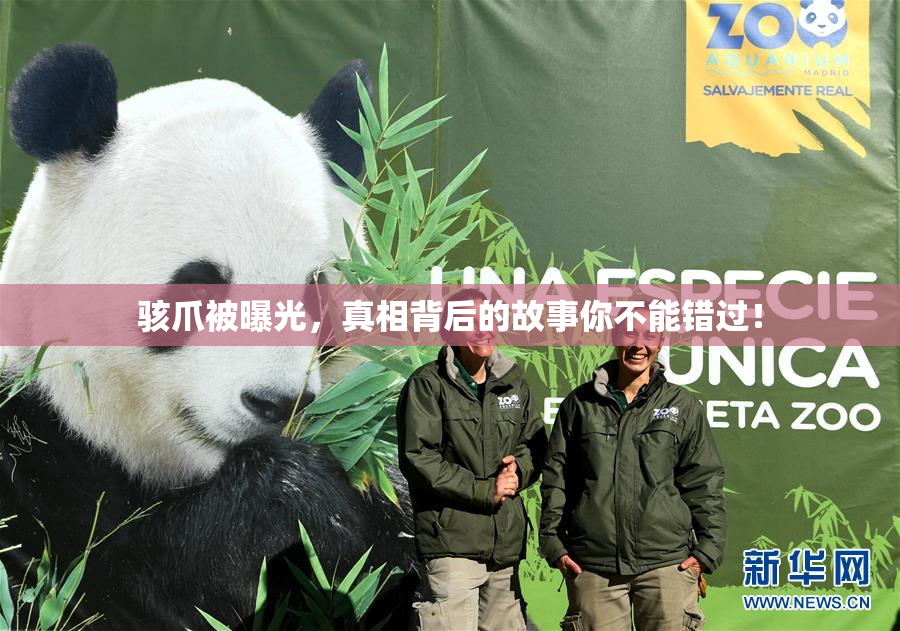 骇爪被曝光，真相背后的故事你不能错过！