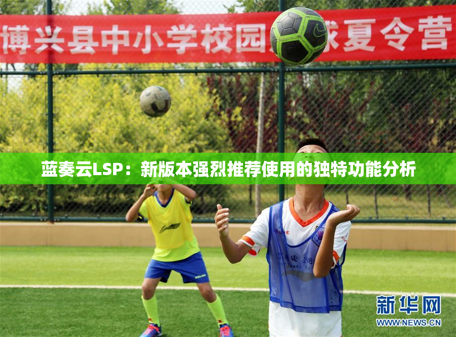 蓝奏云LSP：新版本强烈推荐使用的独特功能分析