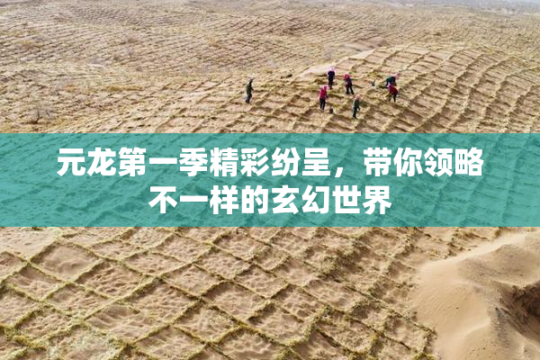 元龙第一季精彩纷呈，带你领略不一样的玄幻世界